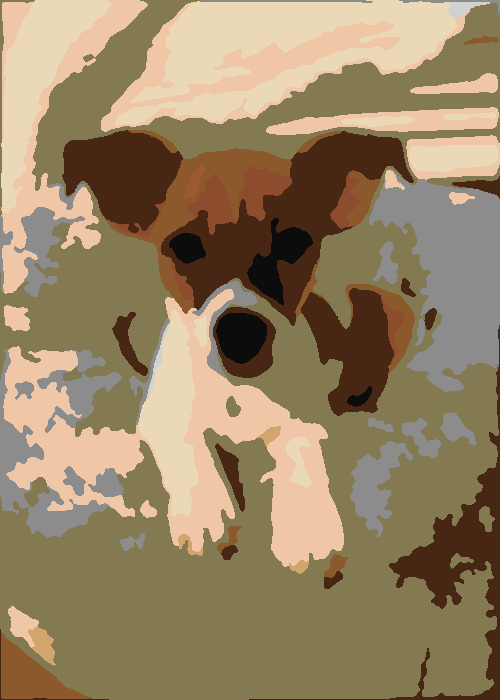 Aki pet portrait - completed paint by numbers artwork