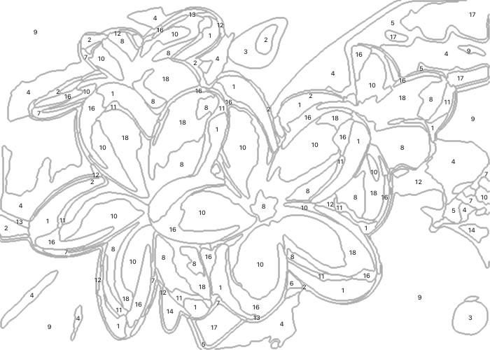 Tropical flowers - paint by numbers canvas